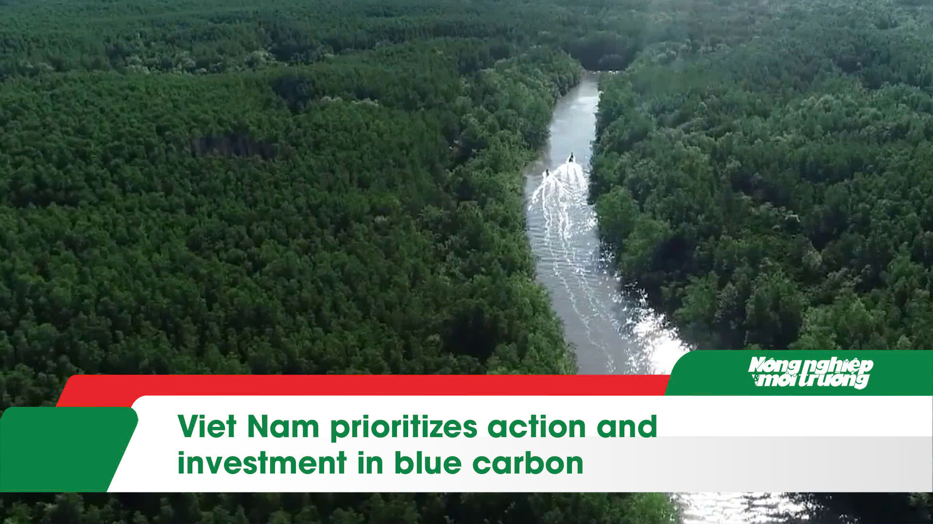 Viet Nam prioritizes action and investment in blue carbon